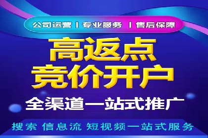 竞价广告的深度解析：以一知名品牌为例